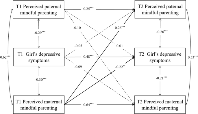 Bidirectional Longitudinal Relationship Between Perceived Paternal and ...