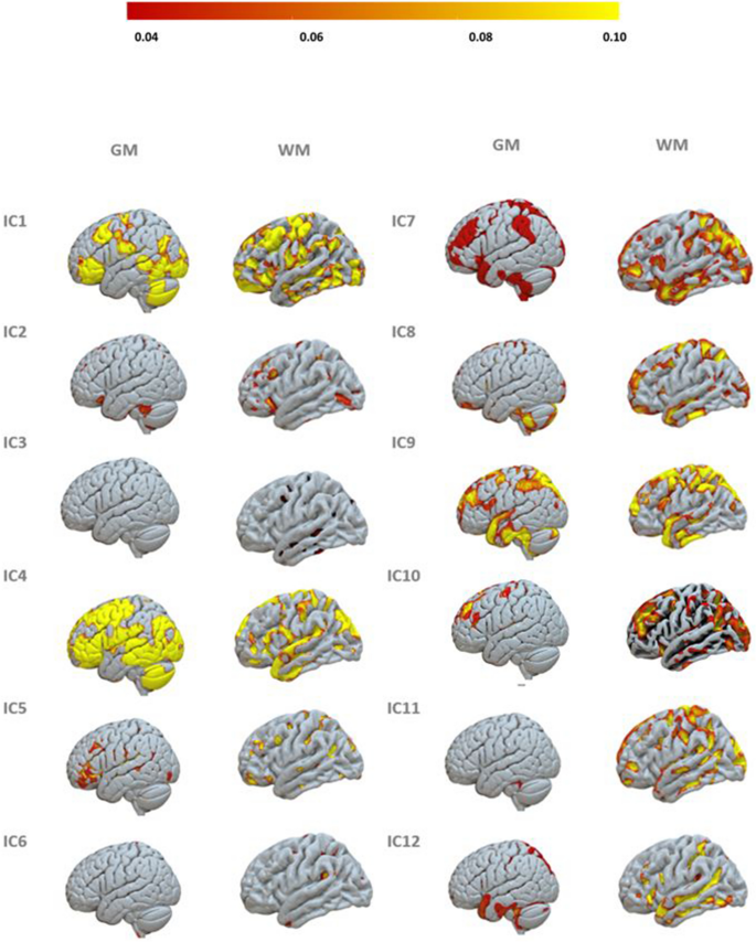 The Neural Signature of Inner Peace: Morphometric Differences Between ...