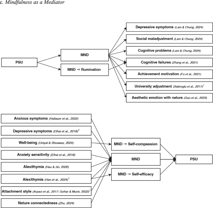 Understanding the Link Between Mindfulness and Problematic Smartphone ...