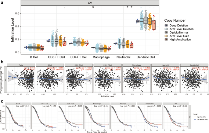 PDF) ACTN4 gene amplification is a predictive biomarker for