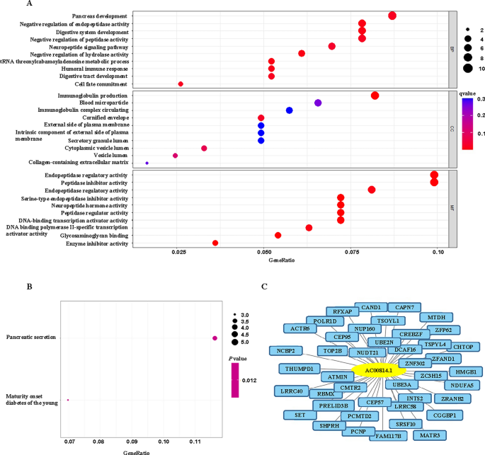 The role of pyroptosis-related lncRNA risk signature in ovarian cancer prognosis and immune system | Discover Oncology the-role-of-pyroptosis-related-lncrna-risk-signature-in-ovarian-cancer-prognosis-and-immune-system-discover-oncology