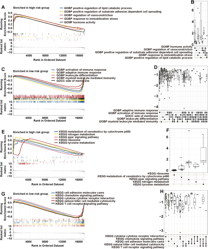 Characterization and immune regulation role of an immobilization