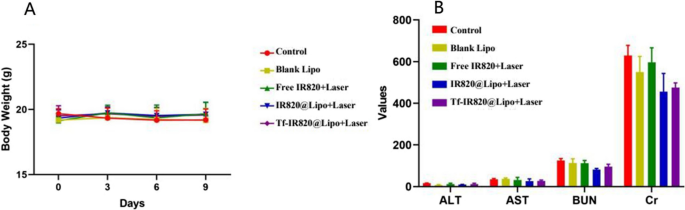 lipo-c injection dosage chart female How Much Are Lipo C Injections in Virginia? main image 0