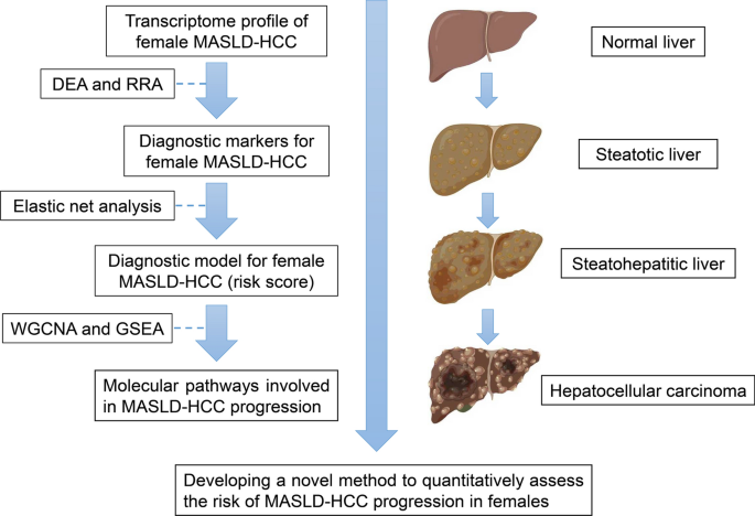 Development of a novel diagnostic model to monitor the progression of ...