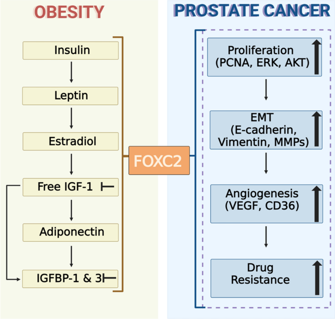 is cagrilintide a glp-1 is cagrilintide a glp-1 Once-weekly cagrilintide for weight management in  people with overweight and obesity: a multicentre, randomised,  double-blind, placebo-controlled and active-controlled, dose-finding phase  2 trial