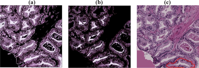 figure 8
