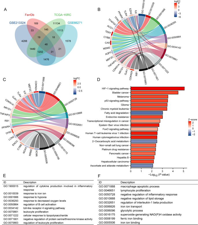 Identification of ferroptosis-related gene signatures as a novel ...