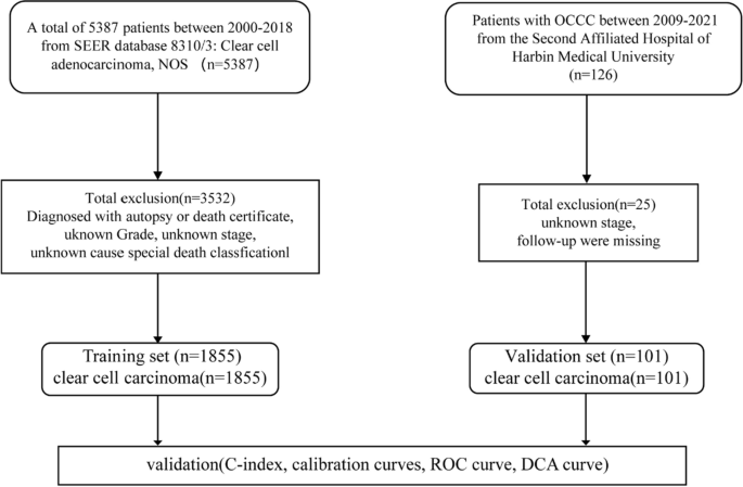 Development and validation of a prognostic nomogram for ovarian clear ...