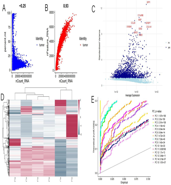 Single-cell RNA sequencing reveals key signaling pathways and ...