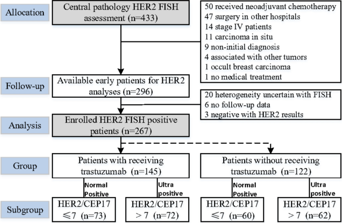 Fish Ratio Potential prognostic value of HER2/CEP17 FISH ratio in HER2-positive ...