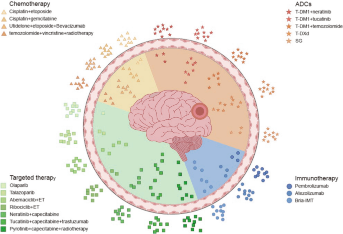 Drug treatment of breast cancer brain metastases: progress and ...