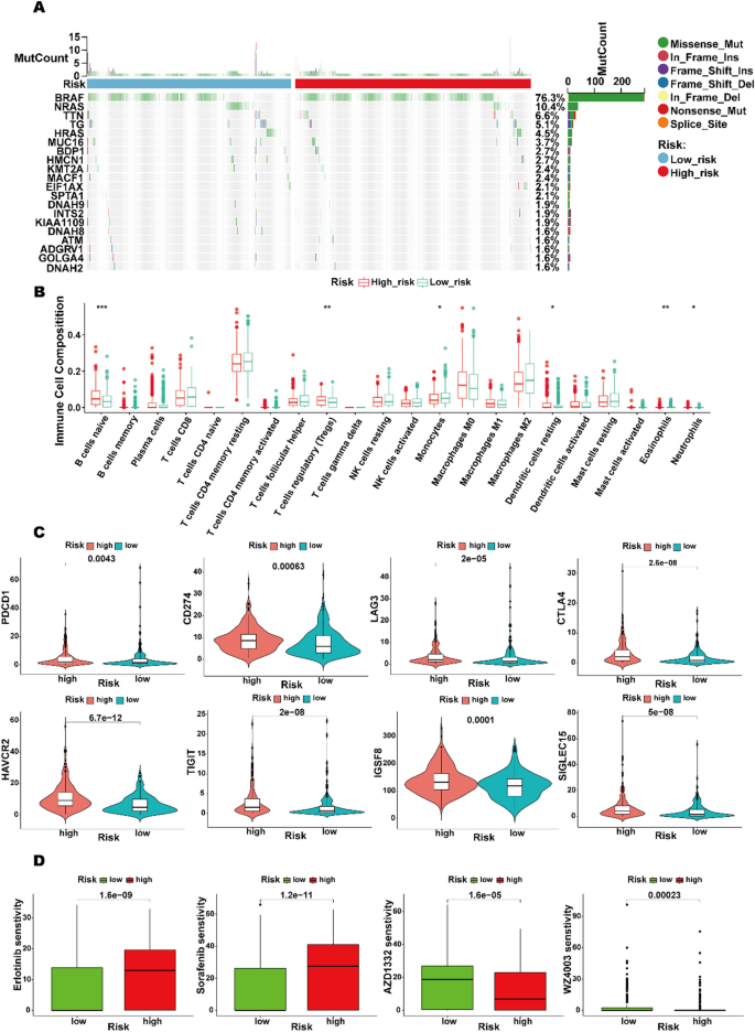 Identification of stemness subtypes and prognostic modeling in thyroid ...