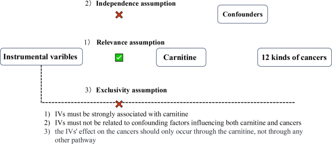 l carnitine ve protein tozu birlikte kullanm In Science Nutrition Saf L-Carnitine Toz 2500 Mg 150 gr (60 Fiyat