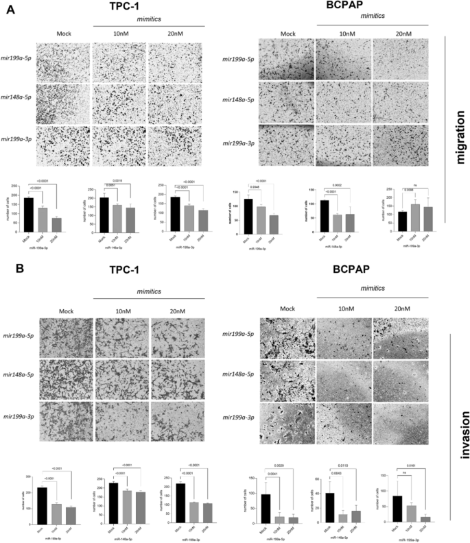 Functional and in silico evidence for the role of microRNAs 148a-5p and ...