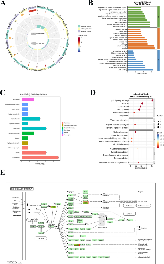 Identification of key biomarkers and immune microenvironment features ...