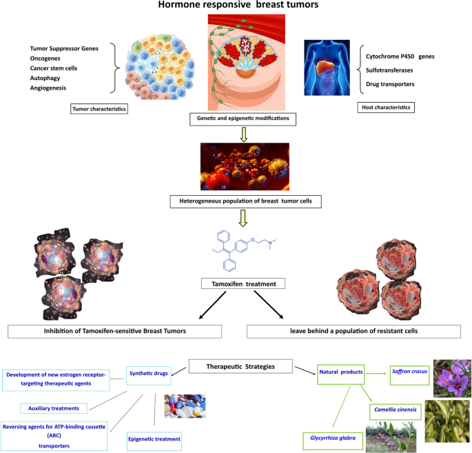 Genetic and epigenetic contribution to tamoxifen resistance in breast ...