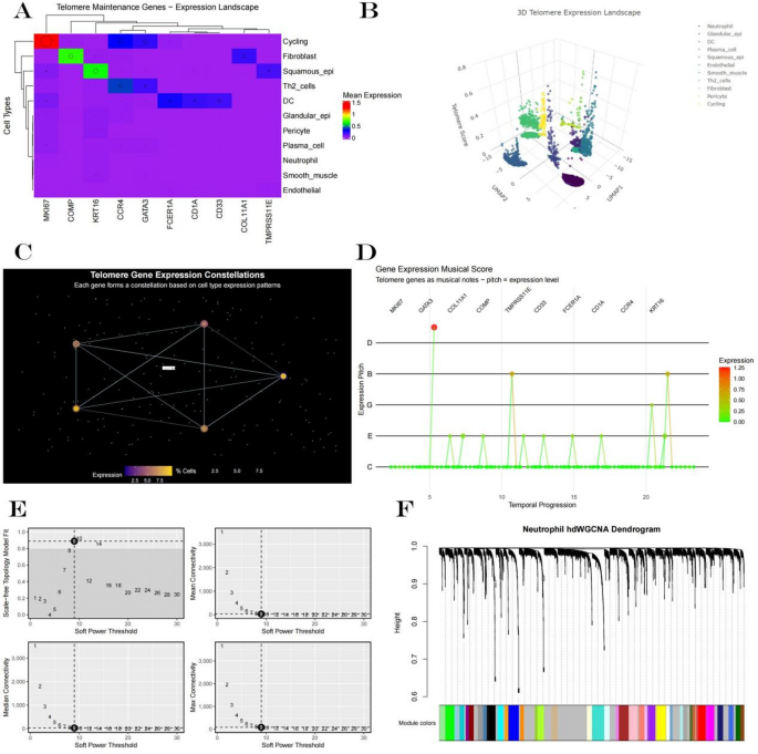 Spatial transcriptomic landscape and cellular neighborhood ...