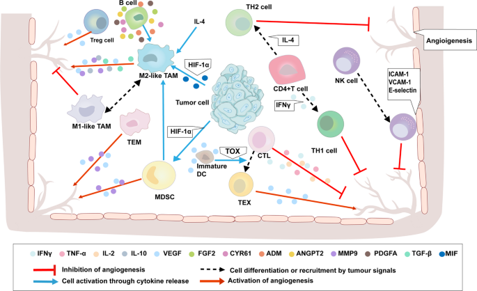 Microenvironmental regulation and remodeling of breast cancer ...