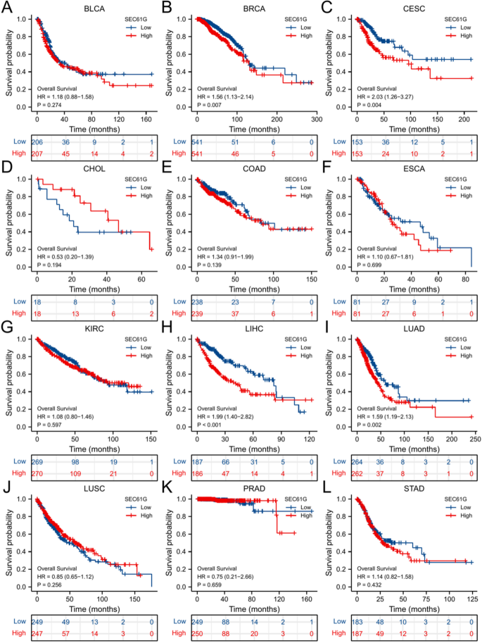 Prognostic and immunological profiling of SEC61G in cervical squamous ...