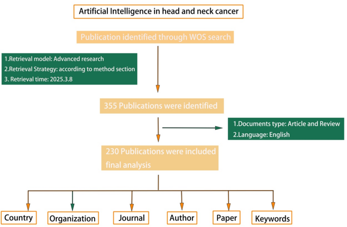 Artificial intelligence in head and neck cancer: a bibliometric and ...