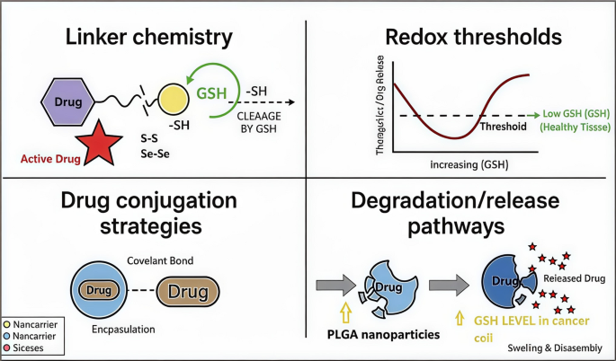 Glutathione responsive nanomedicine leverages tumor redox imbalance for  targeted cancer theranostics | Discover Oncology