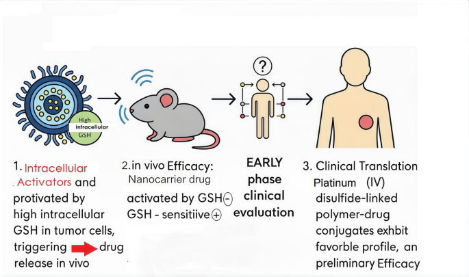 Glutathione responsive nanomedicine leverages tumor redox imbalance for  targeted cancer theranostics | Discover Oncology | Springer Nature Link