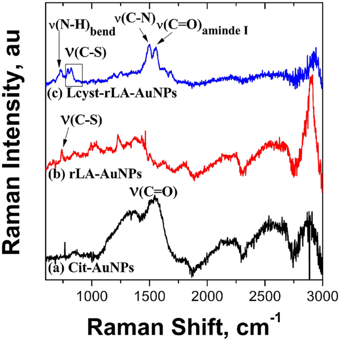 The Ultra Sensitive Electrochemical Detection Of As Iii In Ground Water Using Disposable L Cysteine Lipoic Acid Functionalised Gold Nanoparticle Modified Screen Printed Electrodes Springerlink