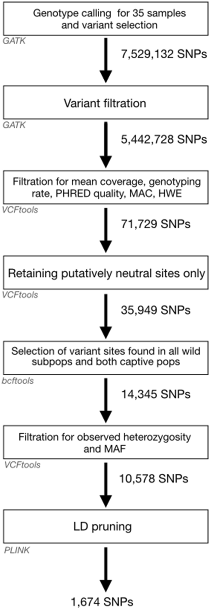 Design of SNP markers for Aldabra giant tortoises using low coverage ddRAD-seq