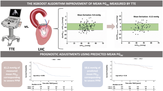Tavr Algorithm Clinical significance of machine learning algorithm in predicting PPM ...