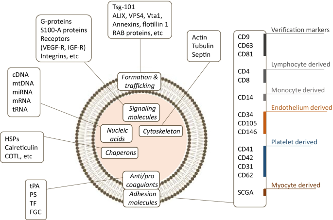 ISEV2018 abstract book - Théry - 2018 - Journal of Extracellular