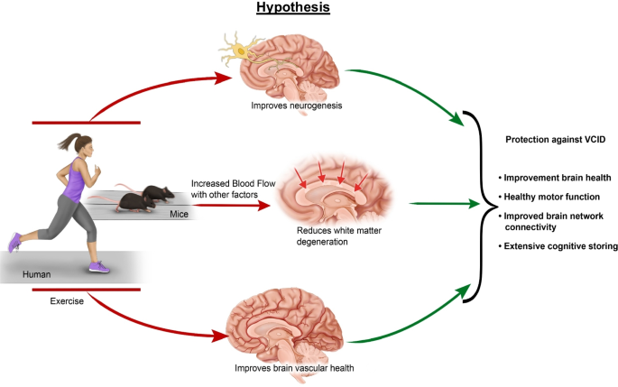 Yoga Asanas Brain Exercise For Good Circulation Of Blood Exercise