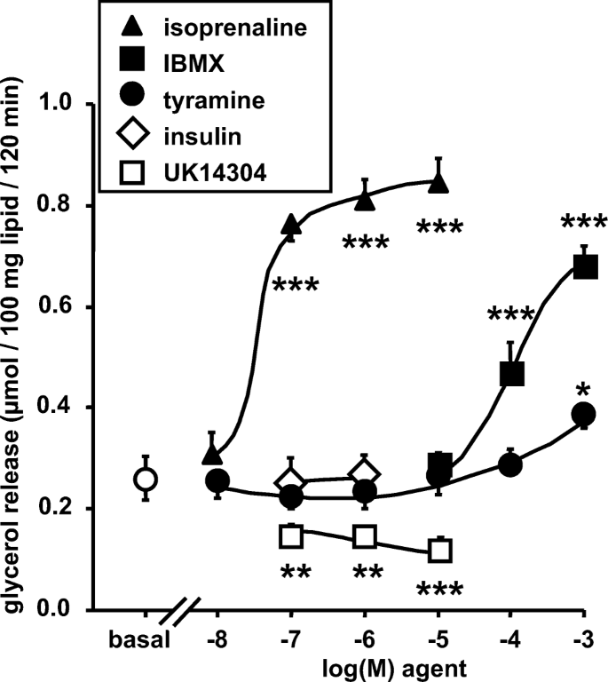 Mechanisms Of The Antilipolytic Response Of Human Adipocytes To Tyramine A Trace Amine Present In Food Springerlink