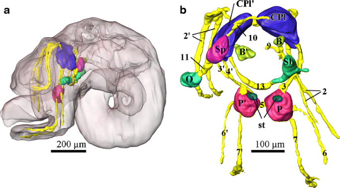 figure 20