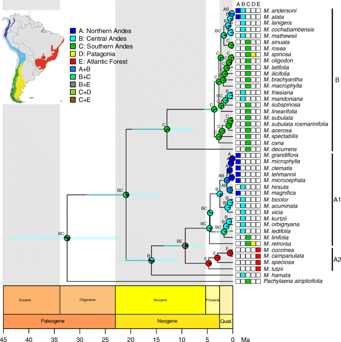 Phylogenetic relationships among Chilean-Bolivian Telmatobius