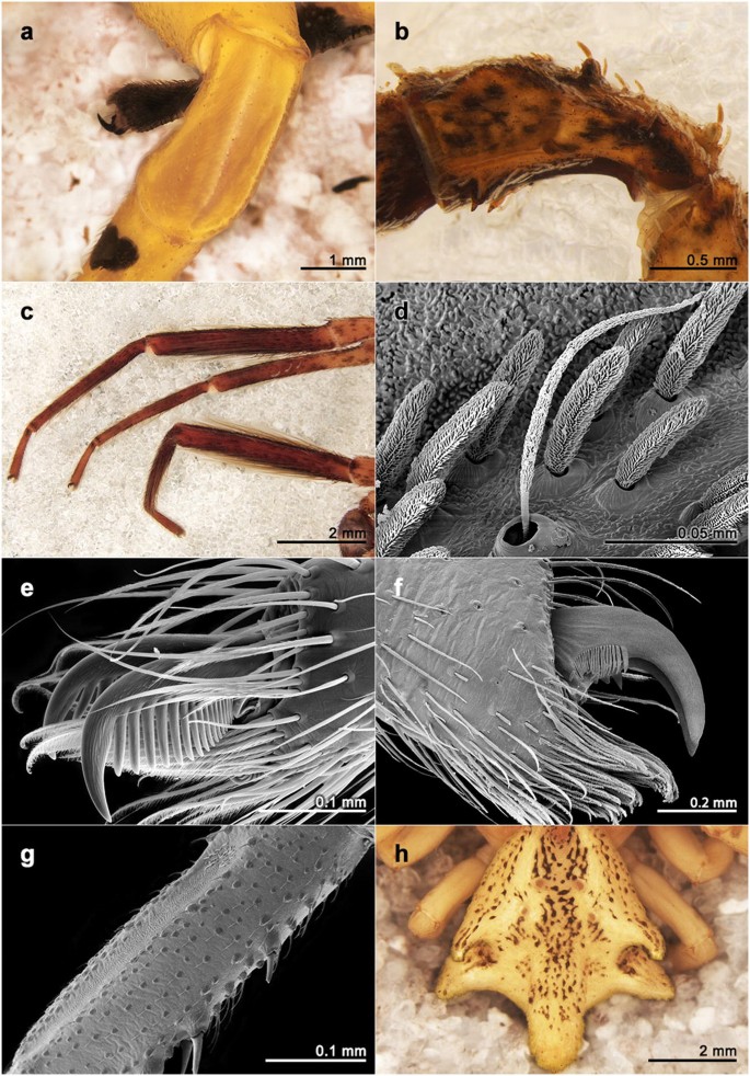 figure 15