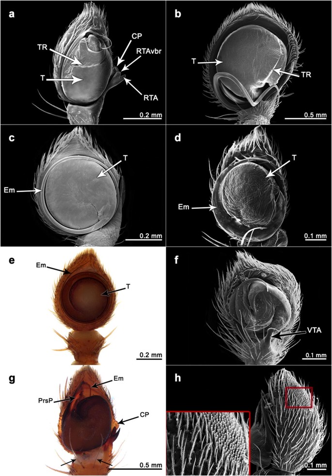 figure 21