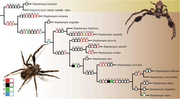 figure 4