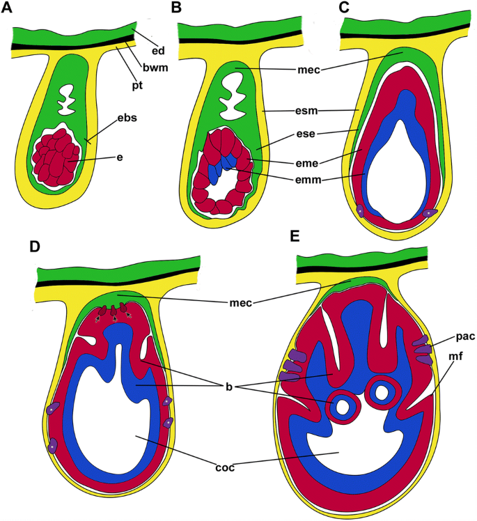 figure 8