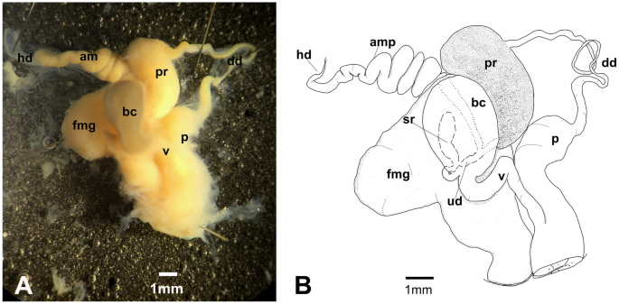 figure 22