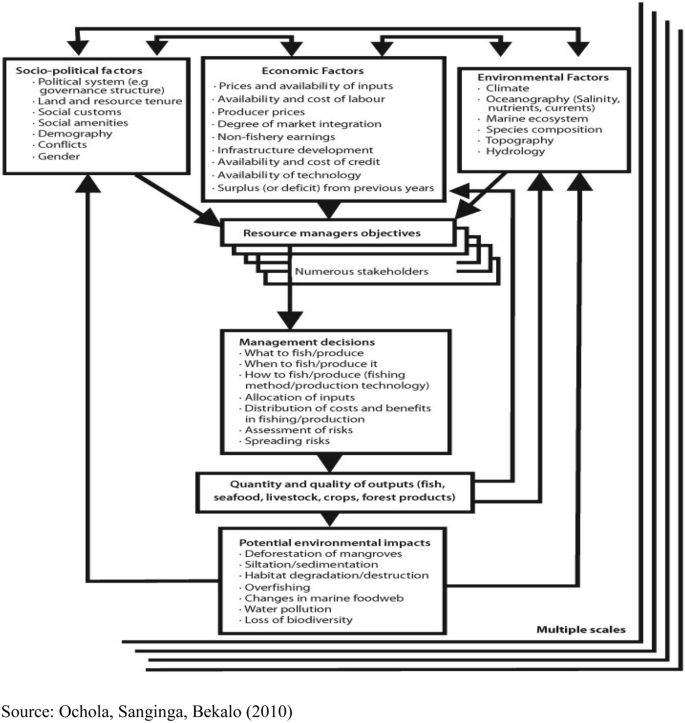 Socio Economic Determinants Of Environmental Performance In Developing Countries Springerlink