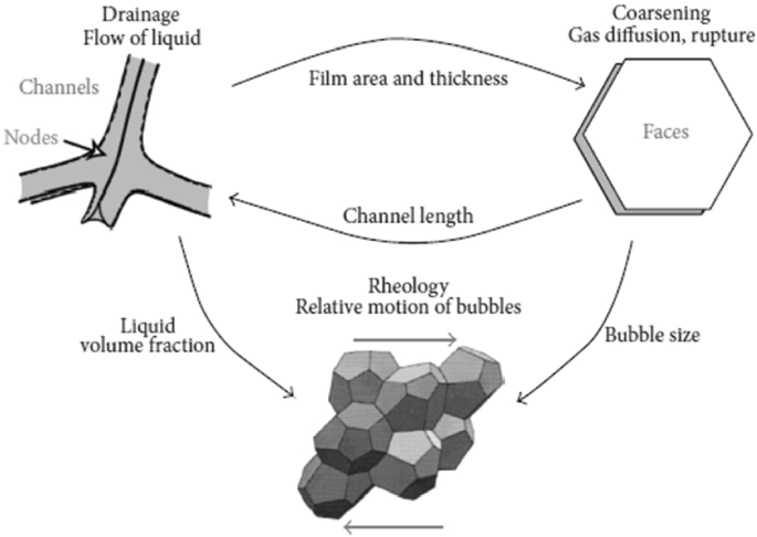 Numerical Solutions Of The Fractal Foam Drainage Equation Springerlink