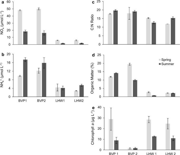 The Development Of Denitrification And Of The Denitrifying Community In A Newly Created Freshwater Wetland Springerlink