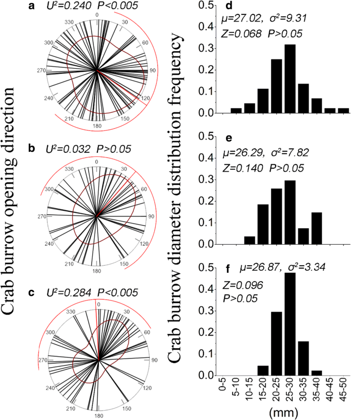 Frontiers  Sediment Bulk Density Effects on Benthic Macrofauna Burrowing  and Bioturbation Behavior