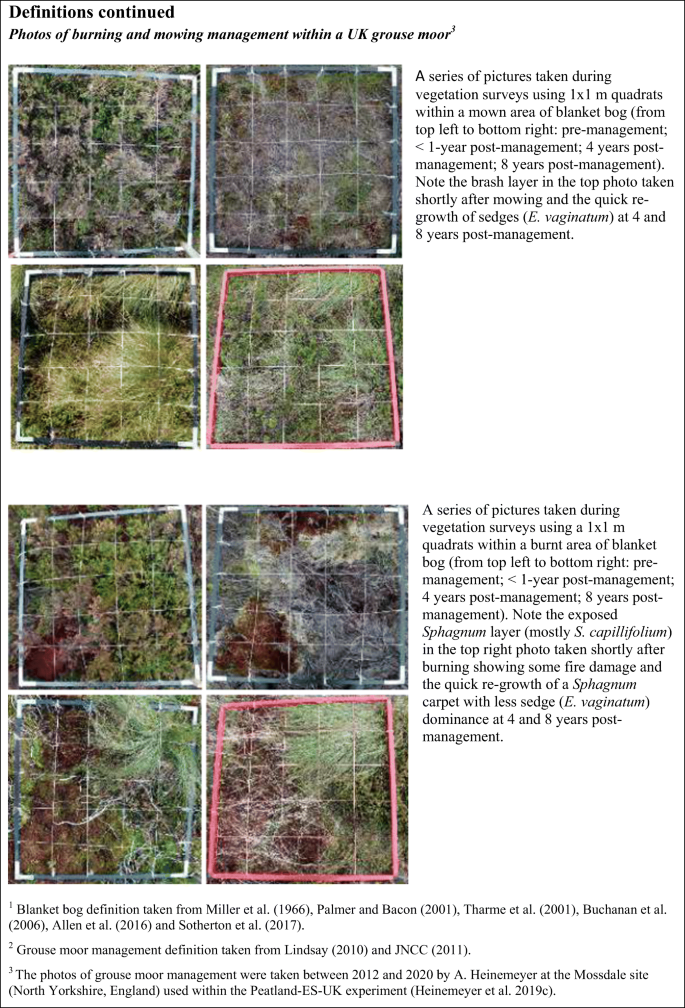 Fen Peatlands  IUCN UK Peatland Programme