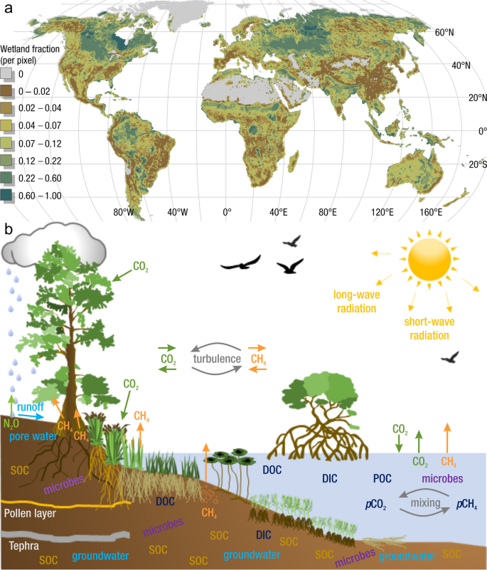 A Marsh? A Bog? A Swamp? A Fen? - Sierra Club BC