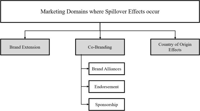 Spillover Effects In Marketing Integrating Core Research Domains Springerlink