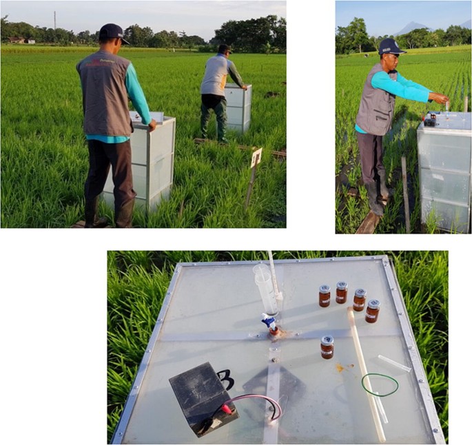 The Effect Of Indigenous Organic Fertilizer On Paddy Field Methane Emissions Springerlink