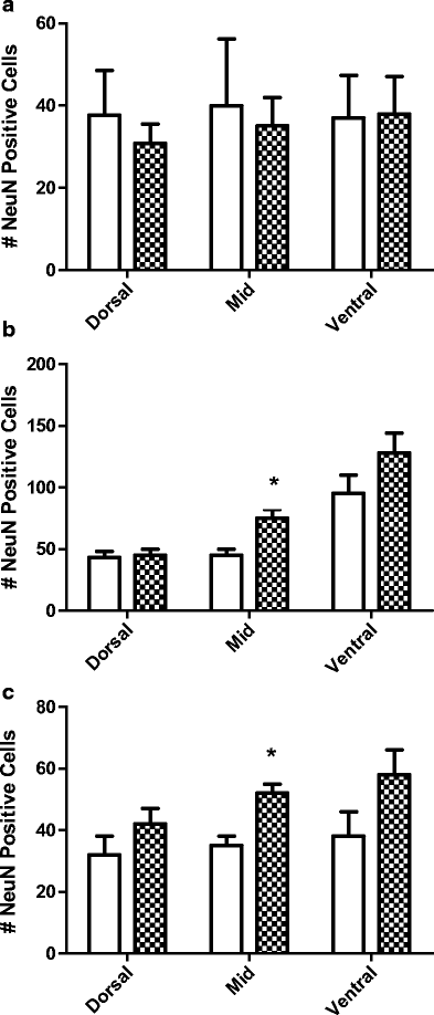 Progressive changes in hippocampal cytoarchitecture in a neurodevelopmental  rat model of epilepsy: implications for understanding presymptomatic  epileptogenesis, predictive diagnosis, and targeted treatments |  SpringerLink