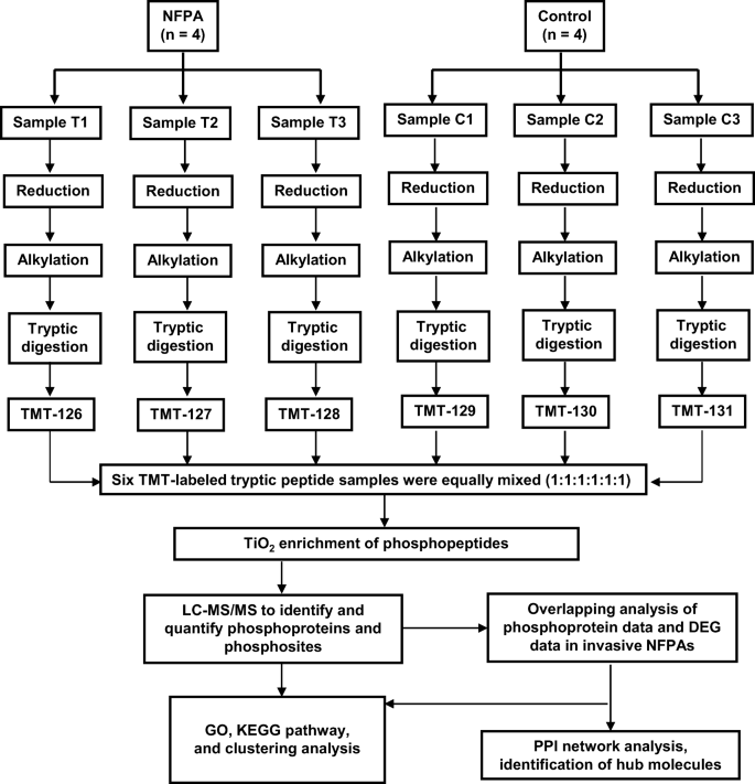 https://media.springernature.com/lw685/springer-static/image/art%3A10.1007%2Fs13167-020-00215-0/MediaObjects/13167_2020_215_Fig1_HTML.png