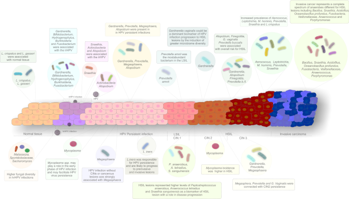 Image result for Battling BV: Effective Therapies infographics